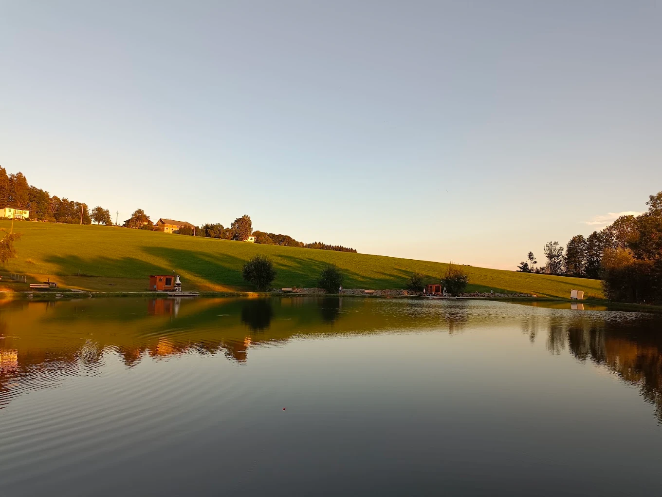 Teichlandschaft im warmen Abendlicht